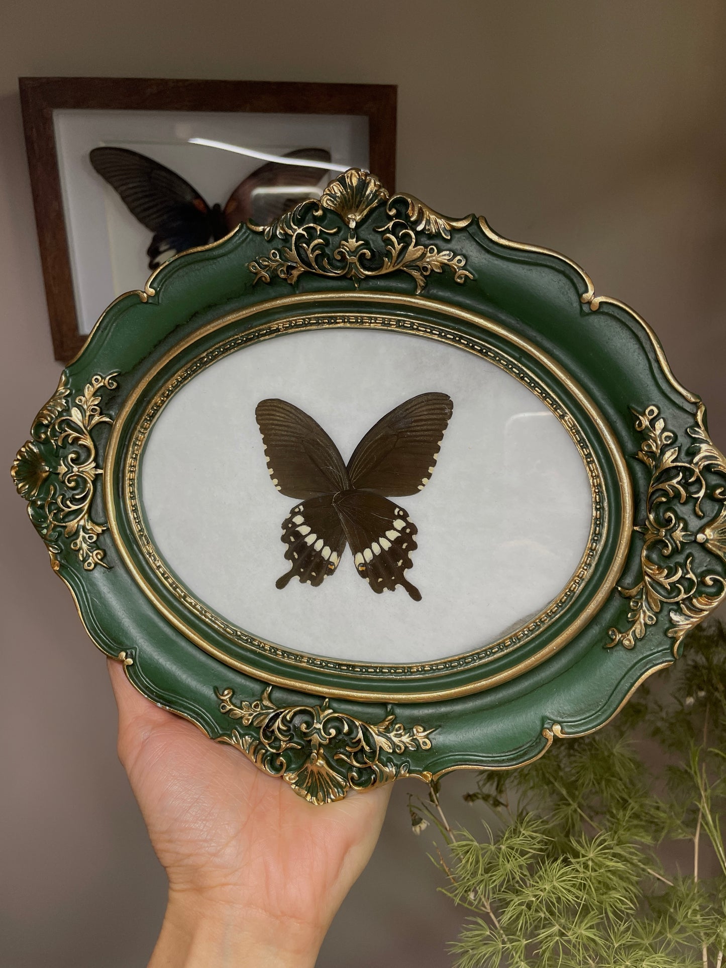 common mormon vintage frame