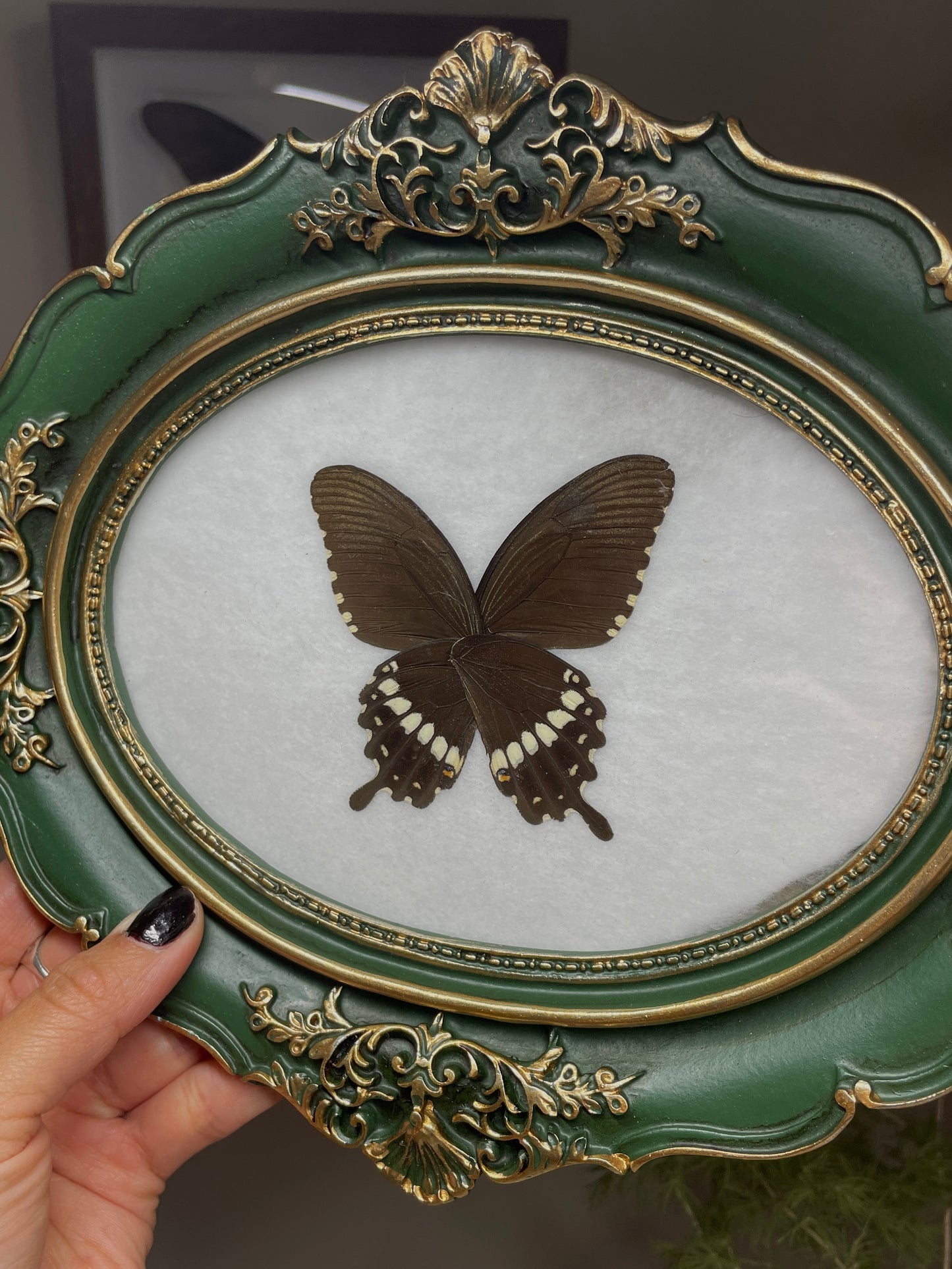 common mormon vintage frame