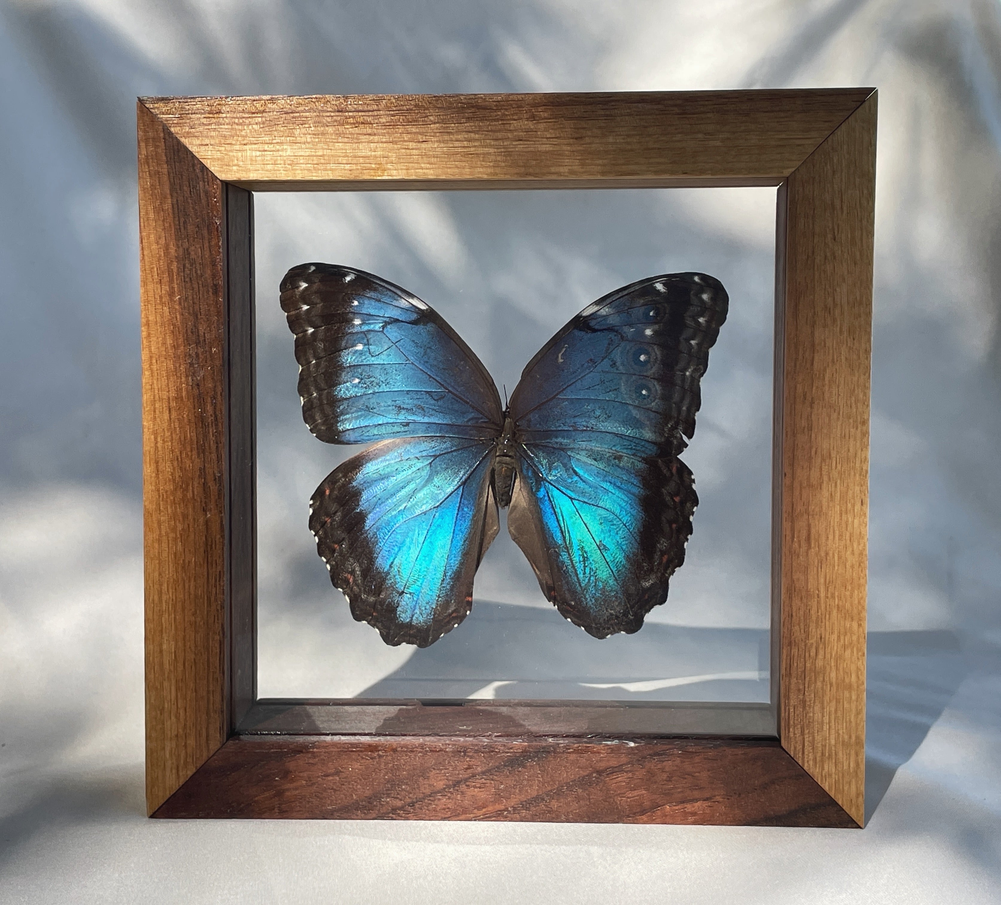 DOUBLE GLASS FRAMES