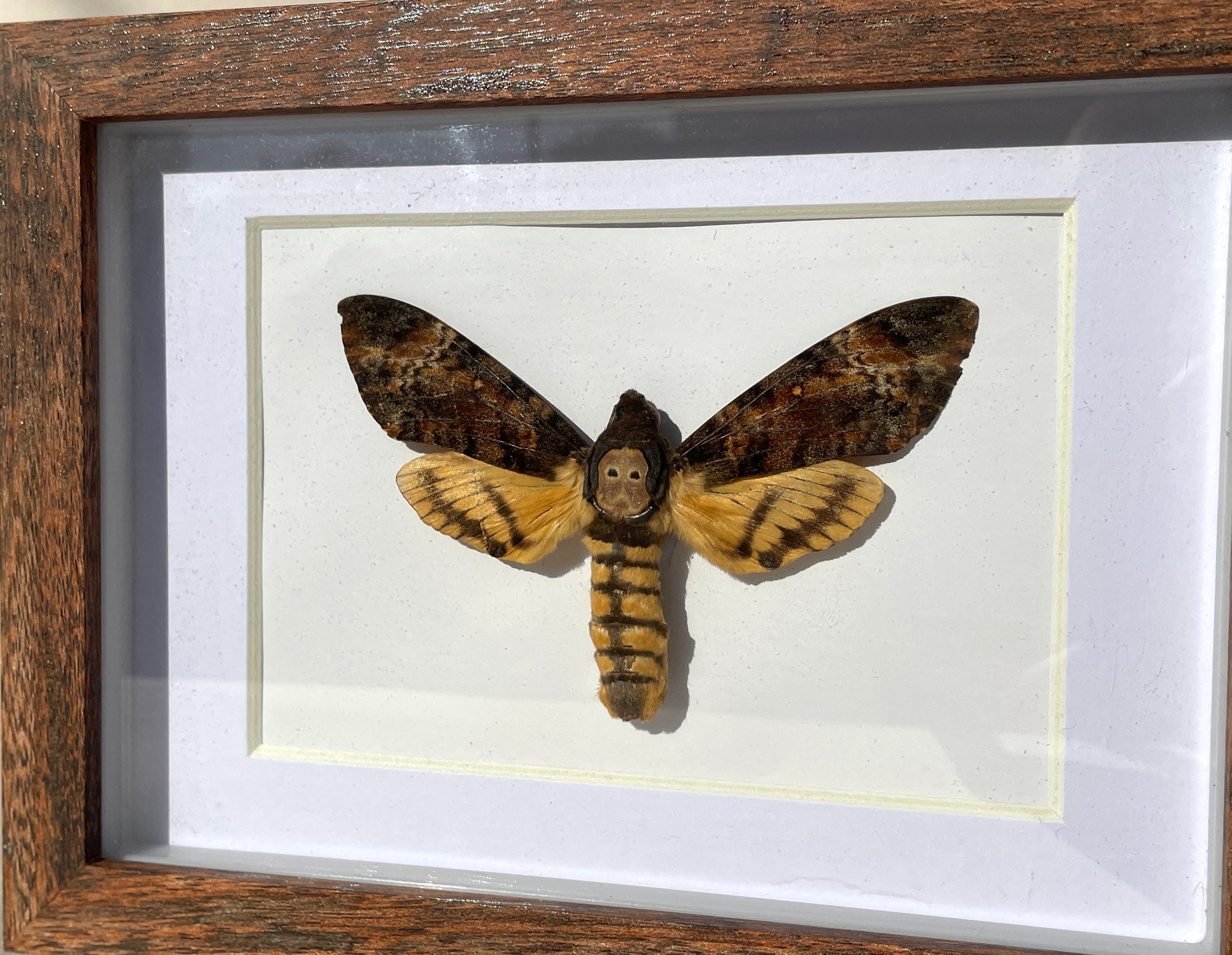 SHADOW BOX FRAMES