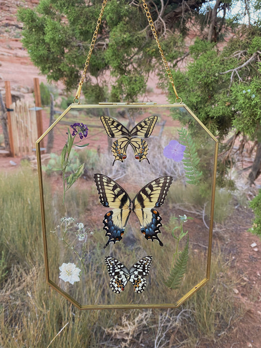 "three's a coven" - swallowtail trio pressed floral display
