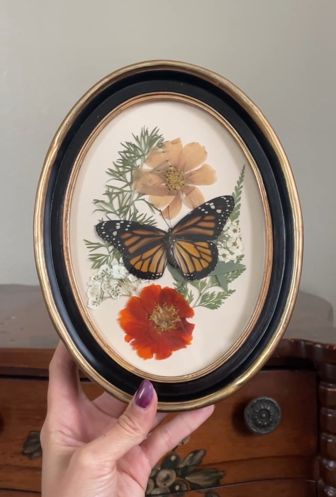 monarch vintage frame