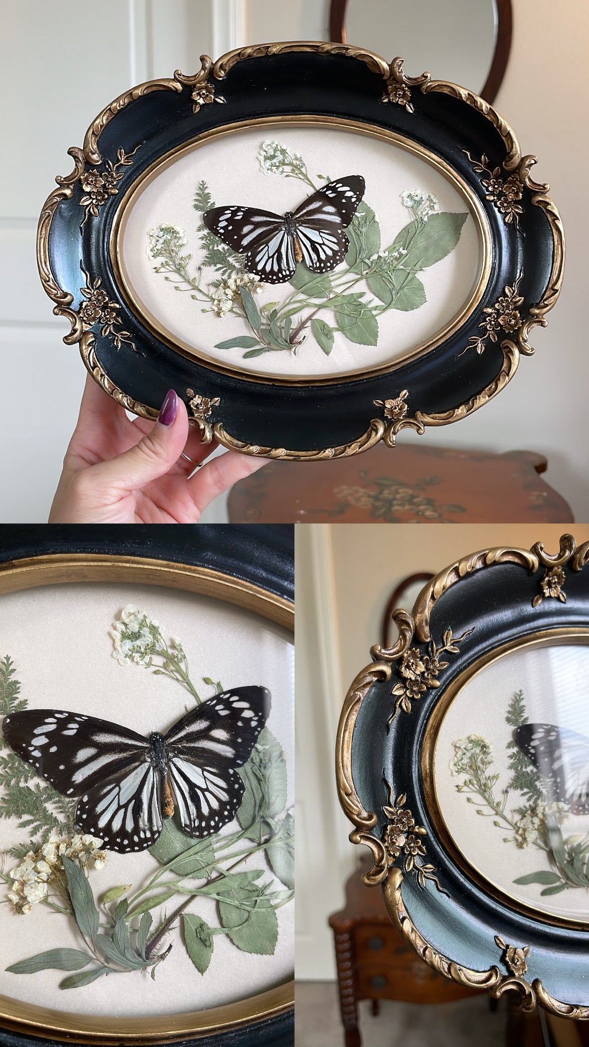 white monarch vintage frame