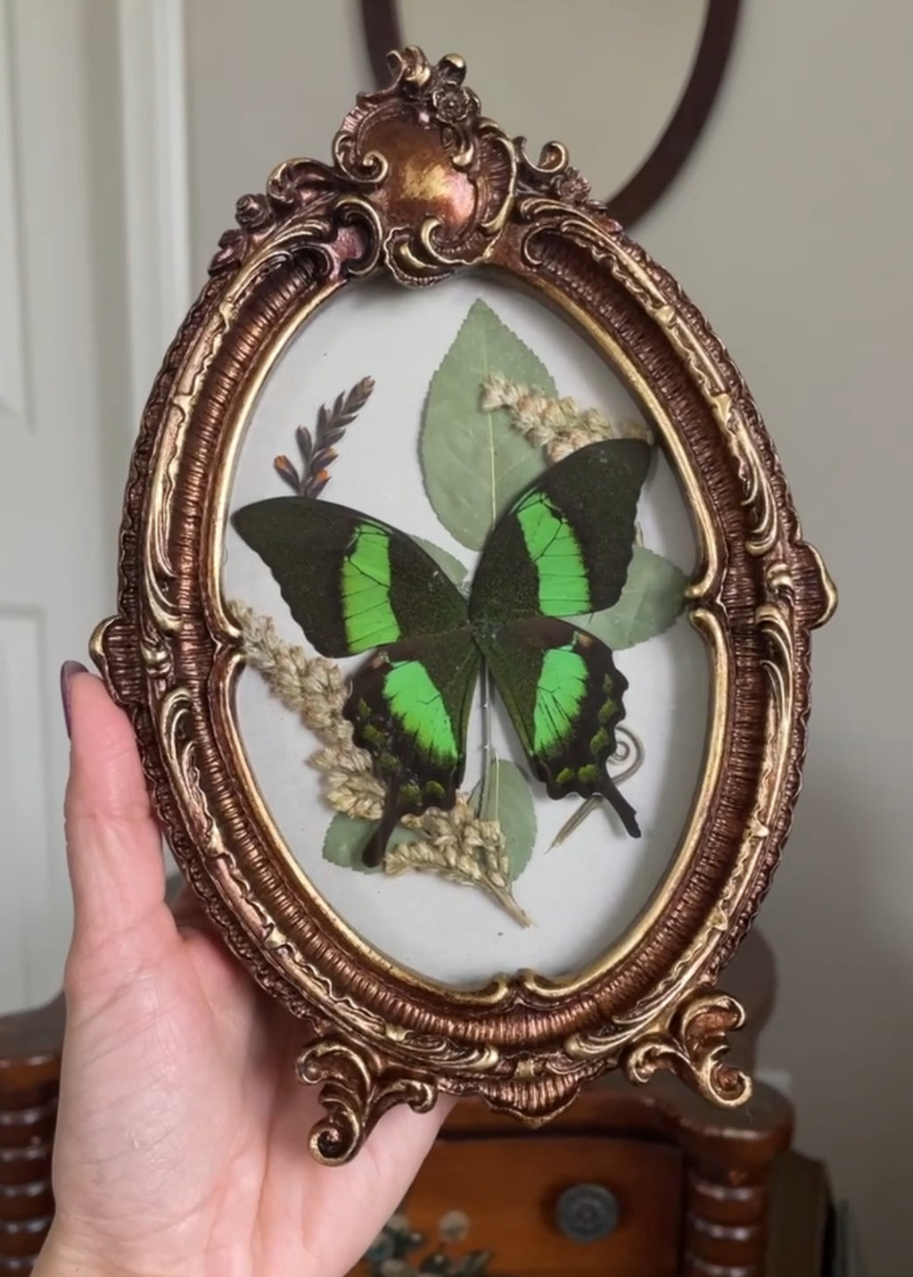 emerald swallowtail vintage frame