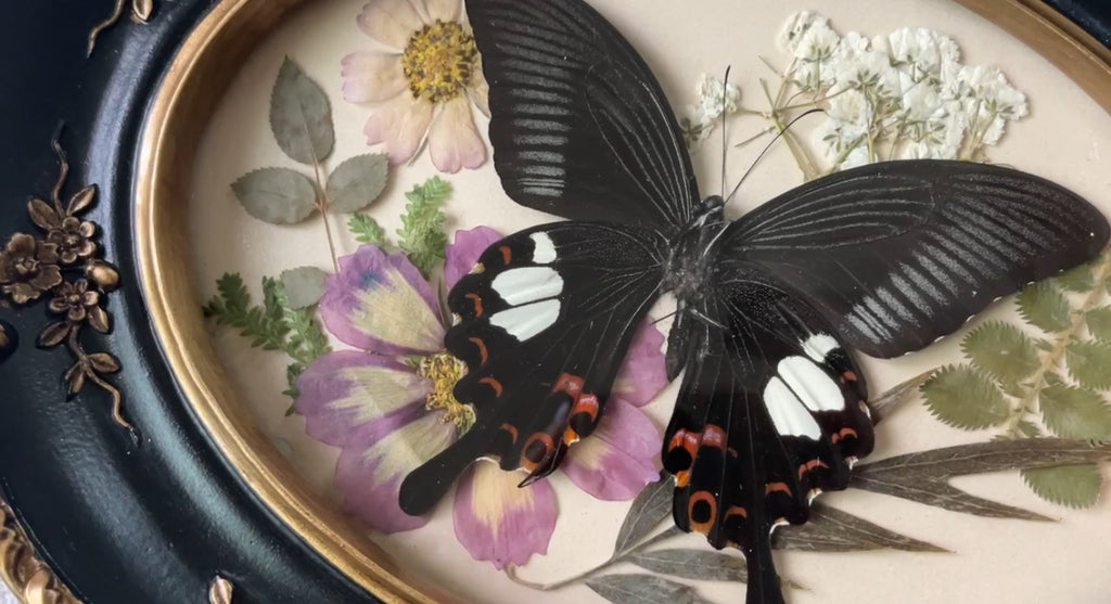 red helen vintage frame