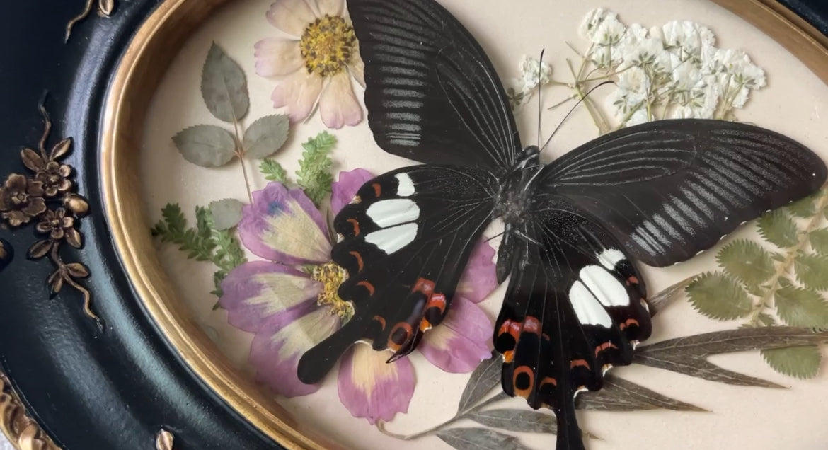 red helen vintage frame