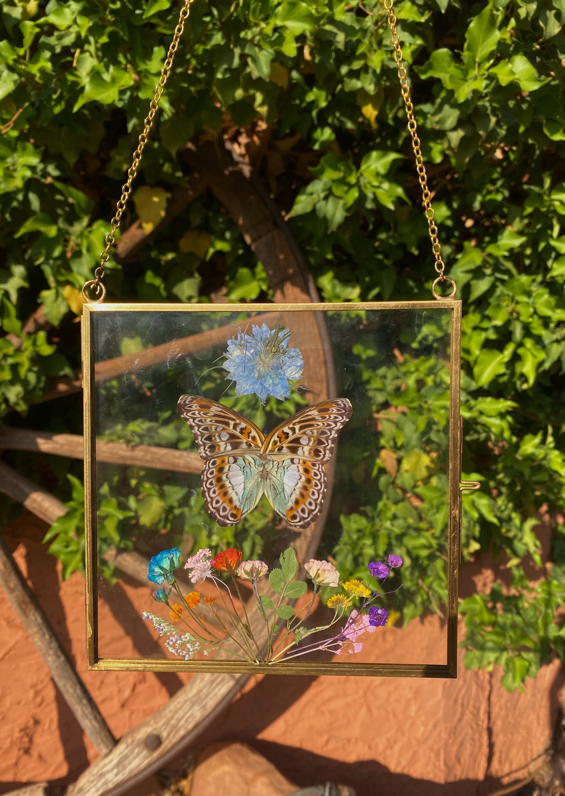 moduza lymire - pressed floral display