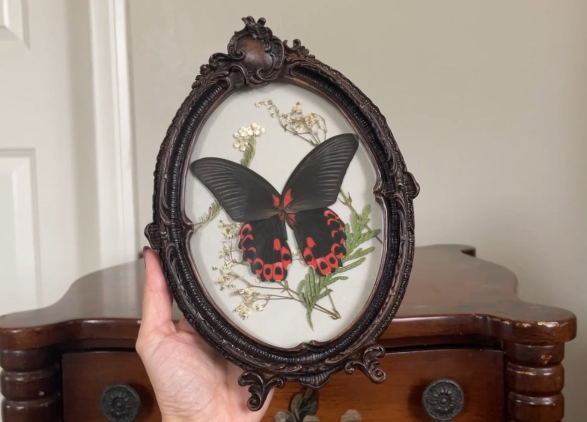 scarlet mormon vintage frame