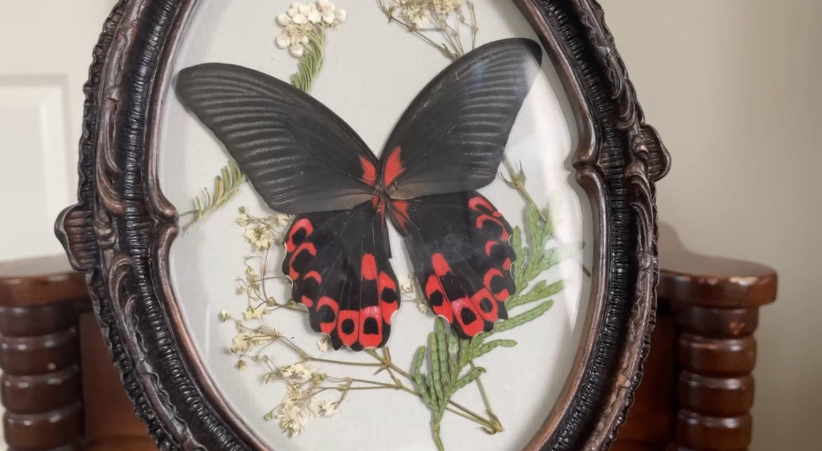scarlet mormon vintage frame