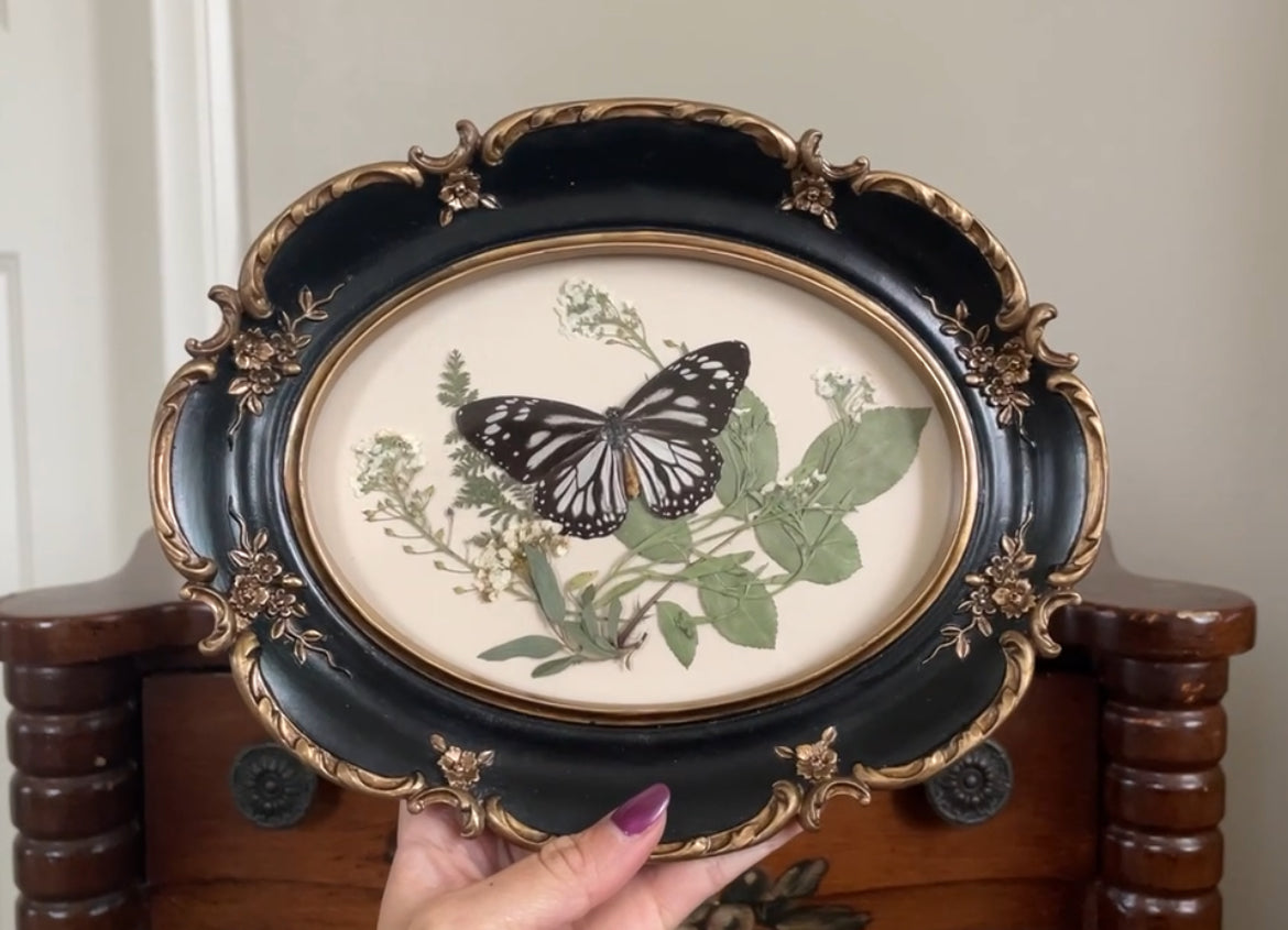 white monarch vintage frame