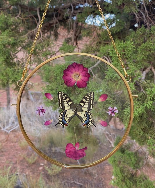 swallowtail butterfly - pressed floral display