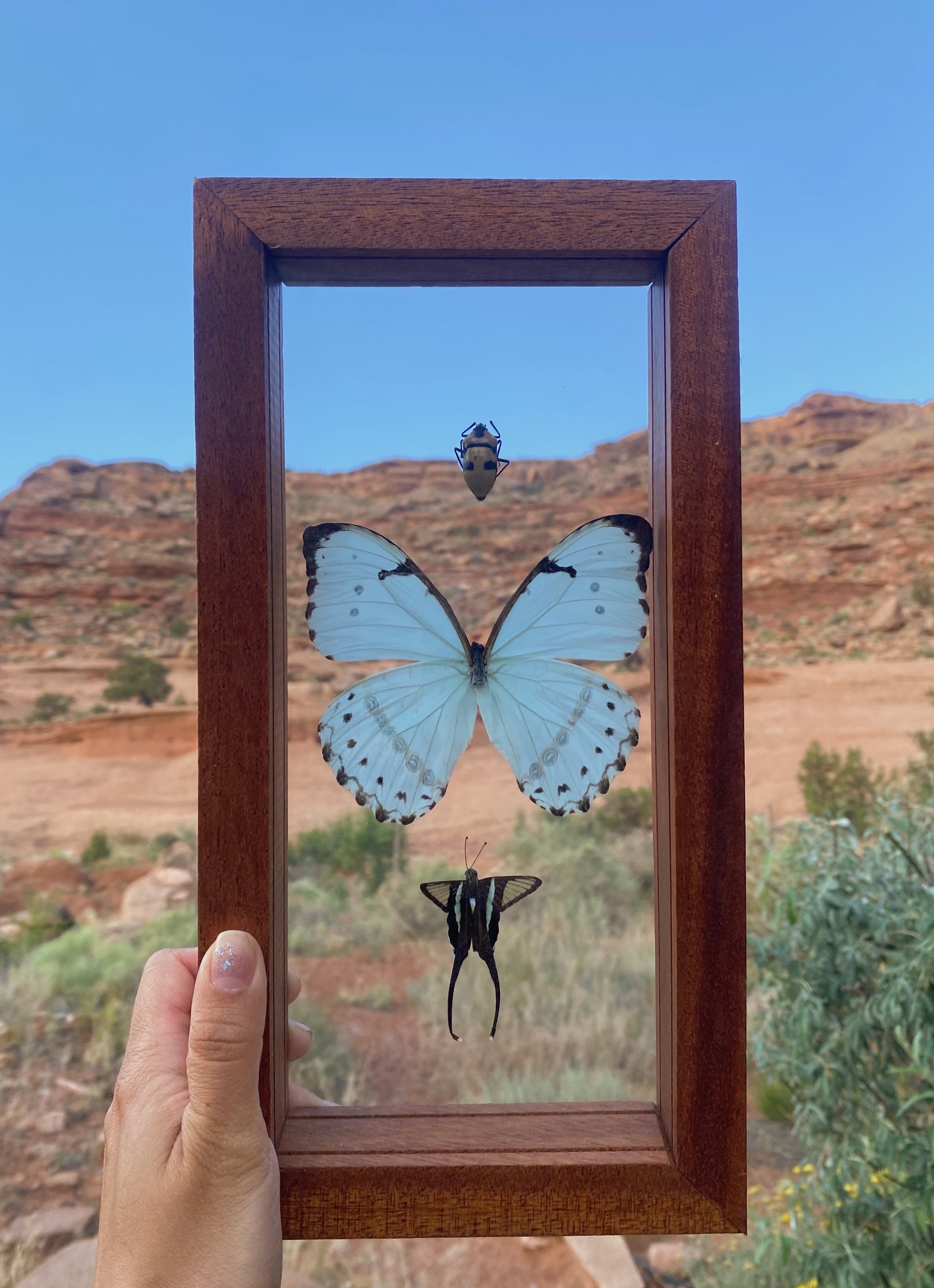 pastel blue fairy trio