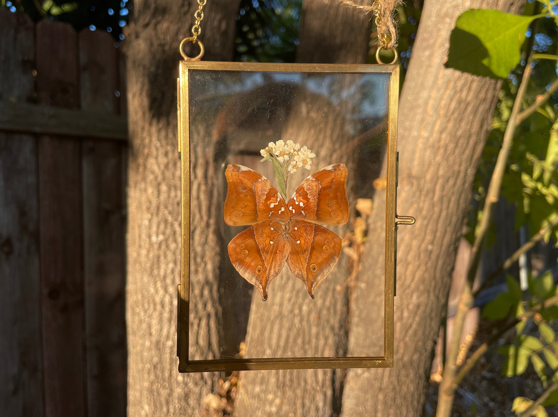 autumn leaf butterfly golden brass frame