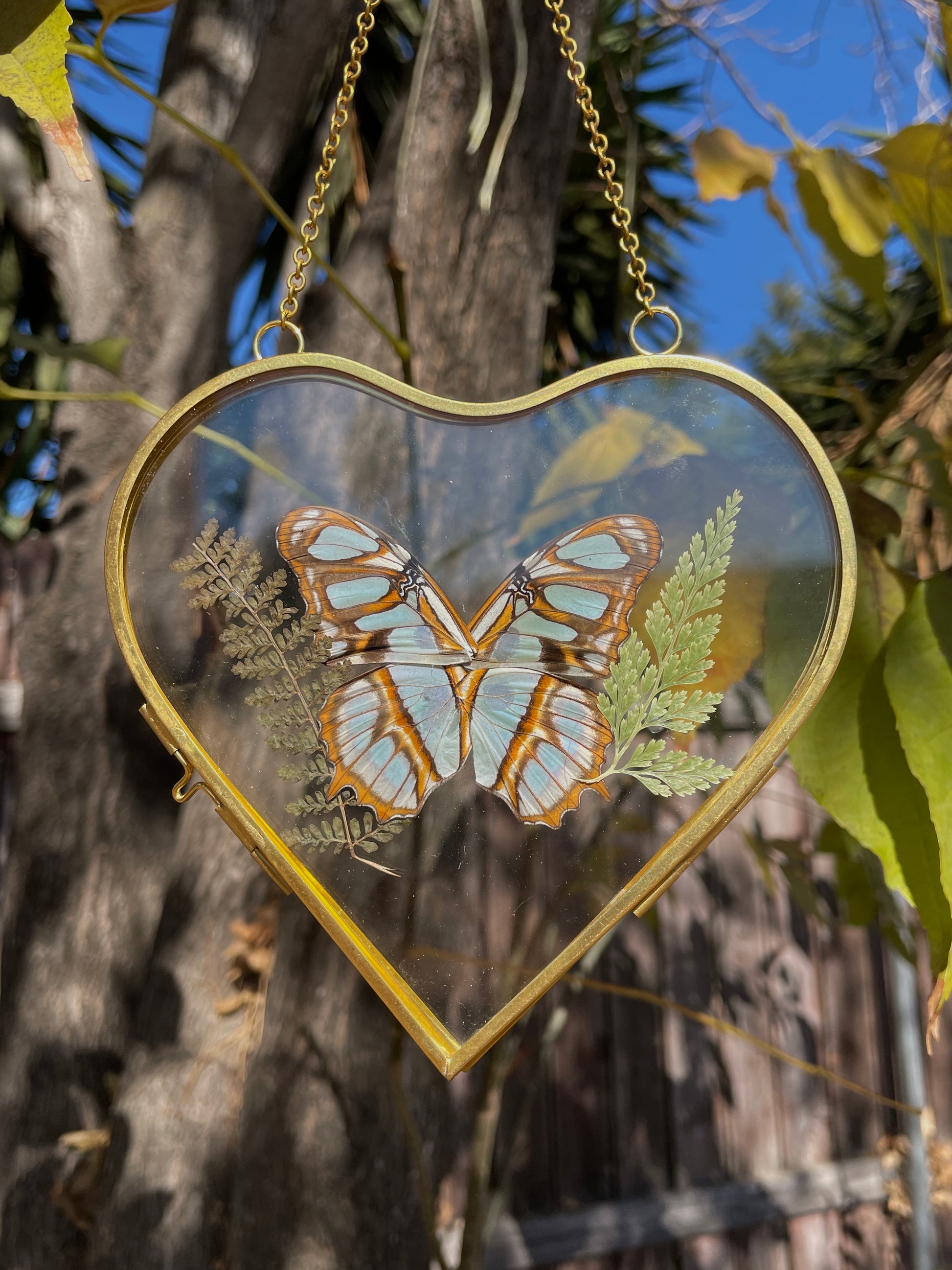 malachite butterfly golden brass heart frame