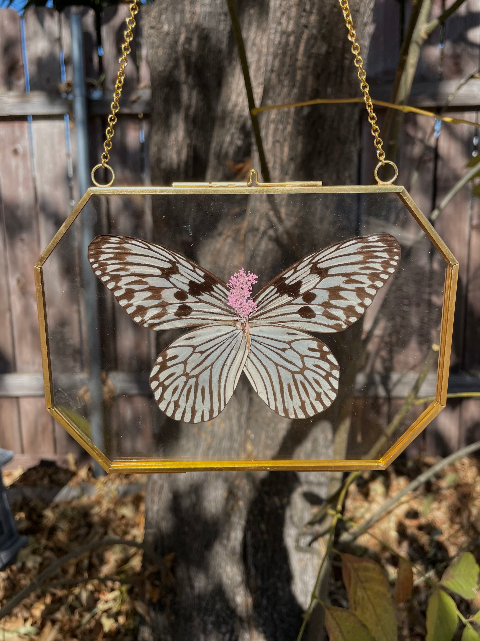 paper kite butterfly octagon golden brass frame