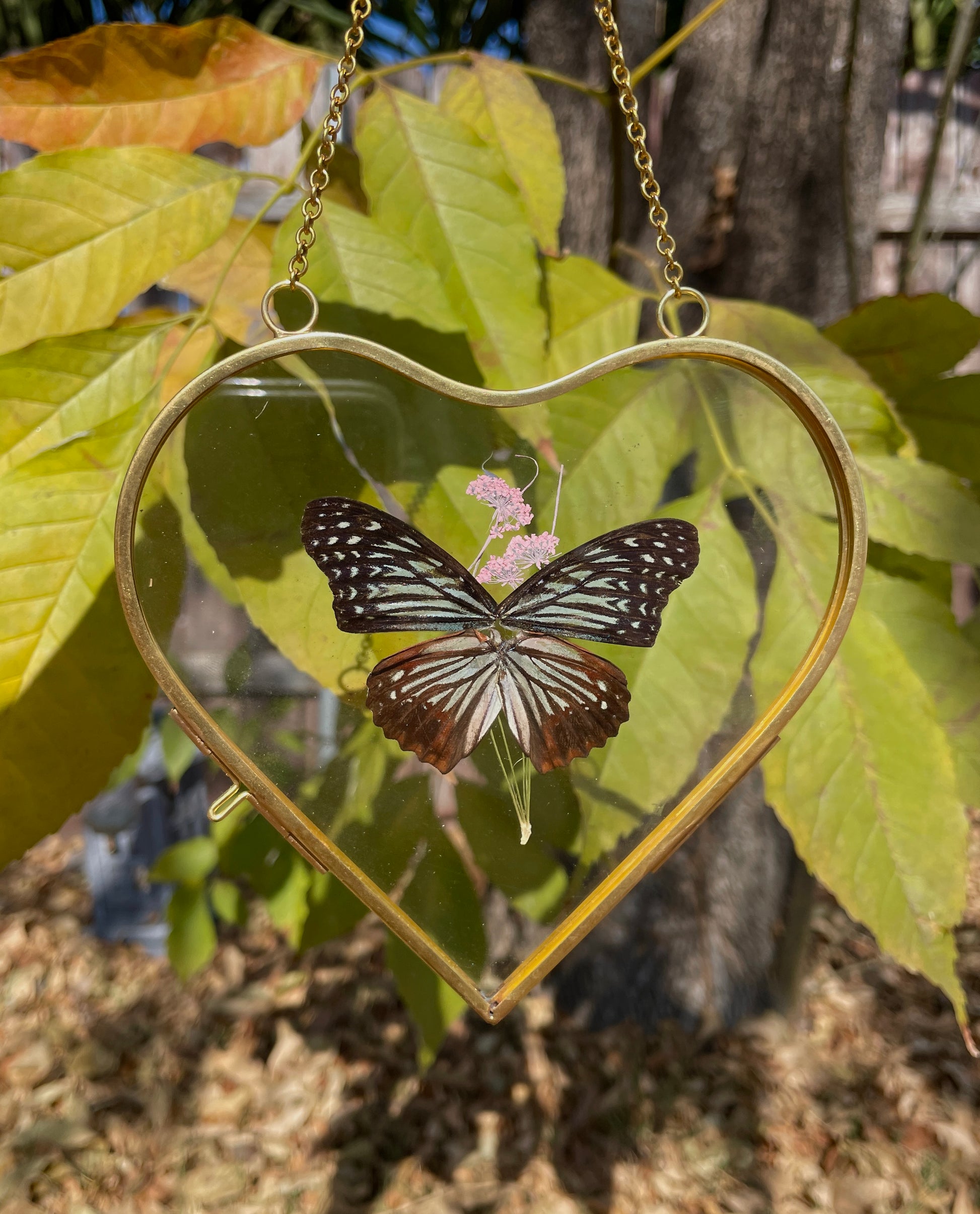 blue glassy tiger golden brass heart frame