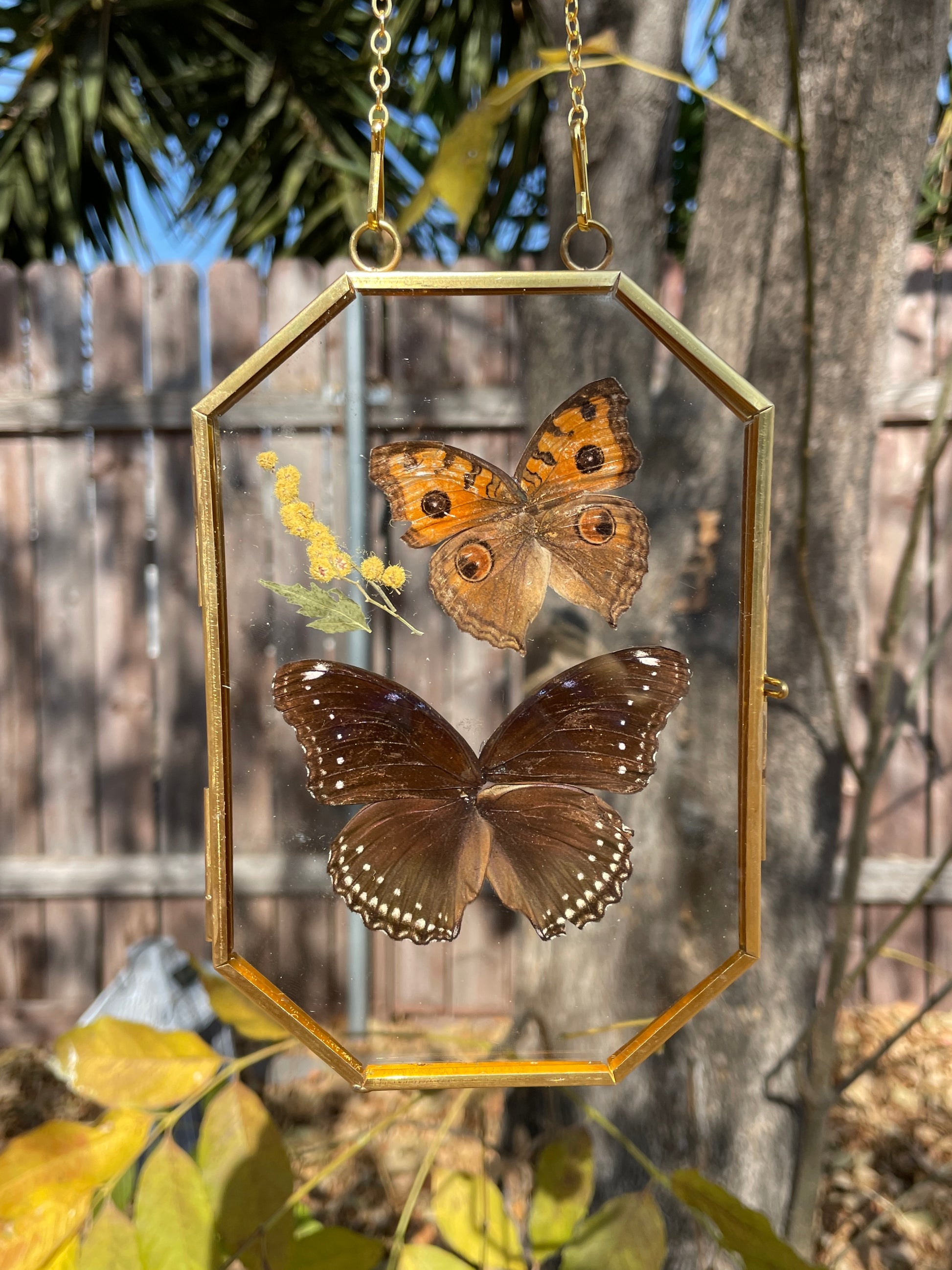 peacock pansy & blue moon butterfly octagon golden brass frame