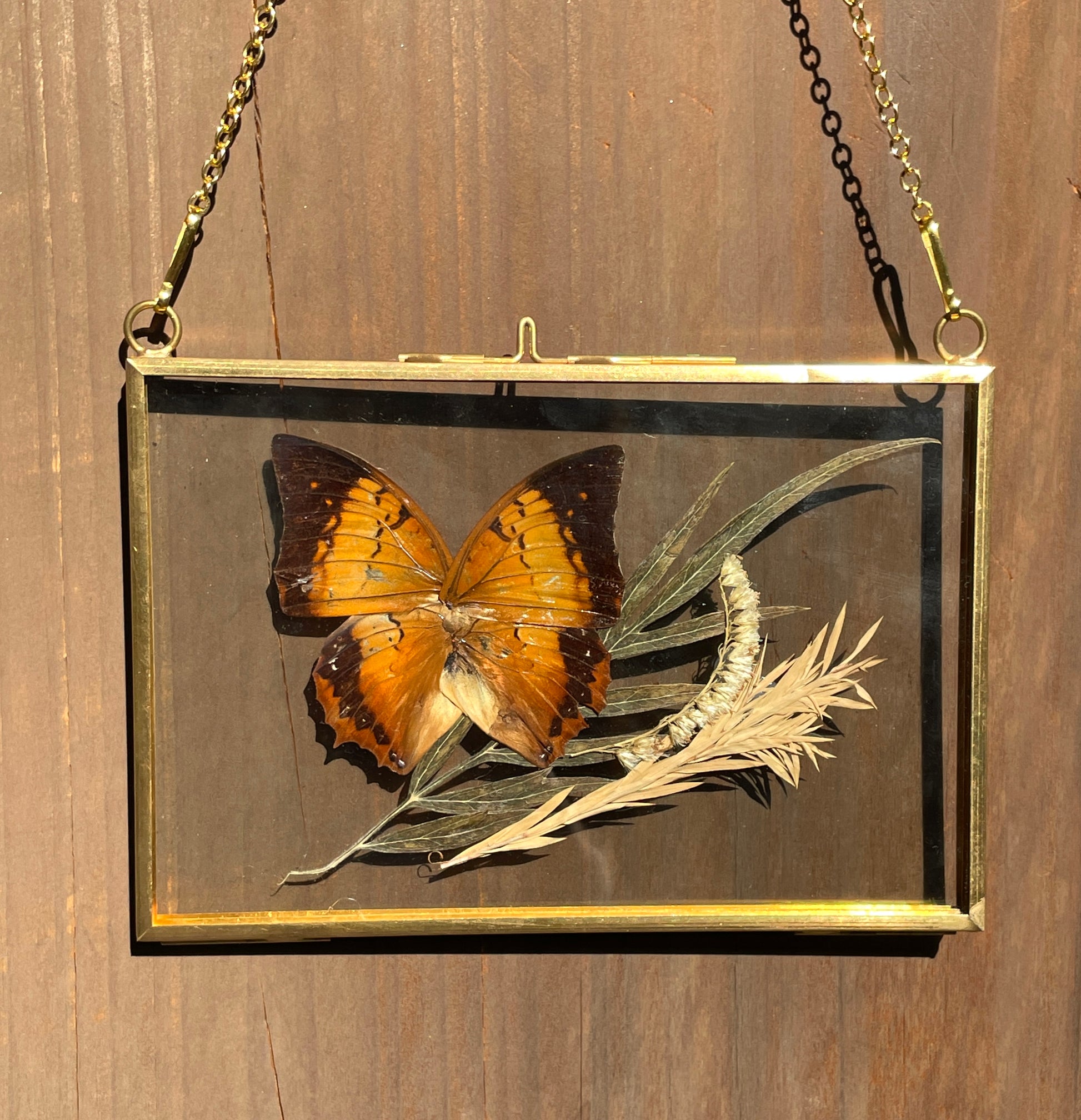 tawny rajah brass frame