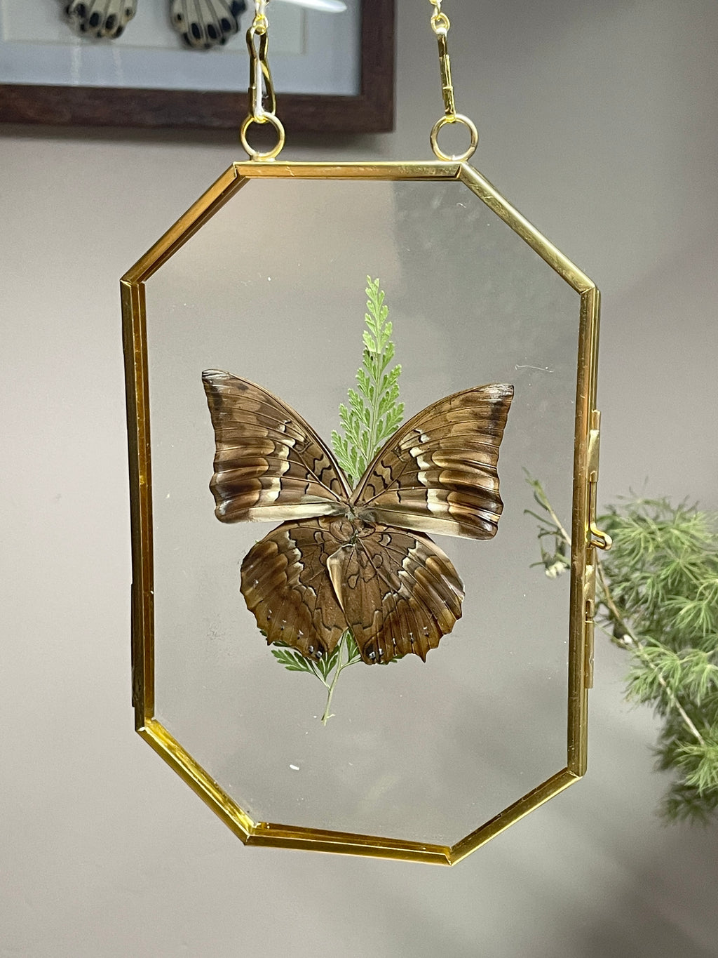 tawny rajah octagon brass frame