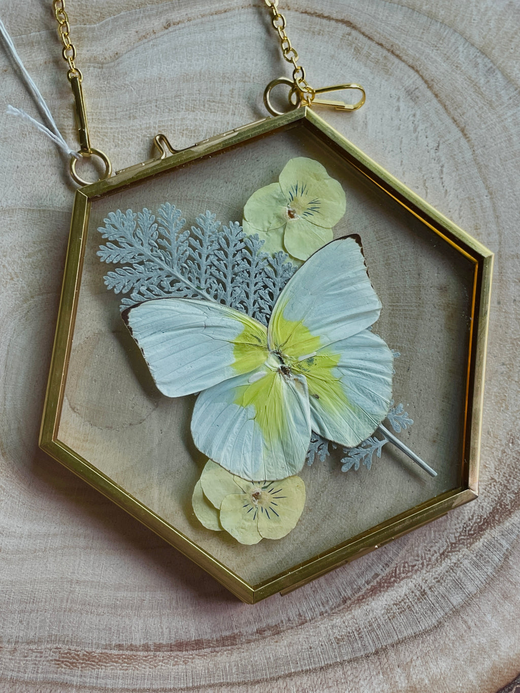 lemon emigrant butterfly golden brass frame