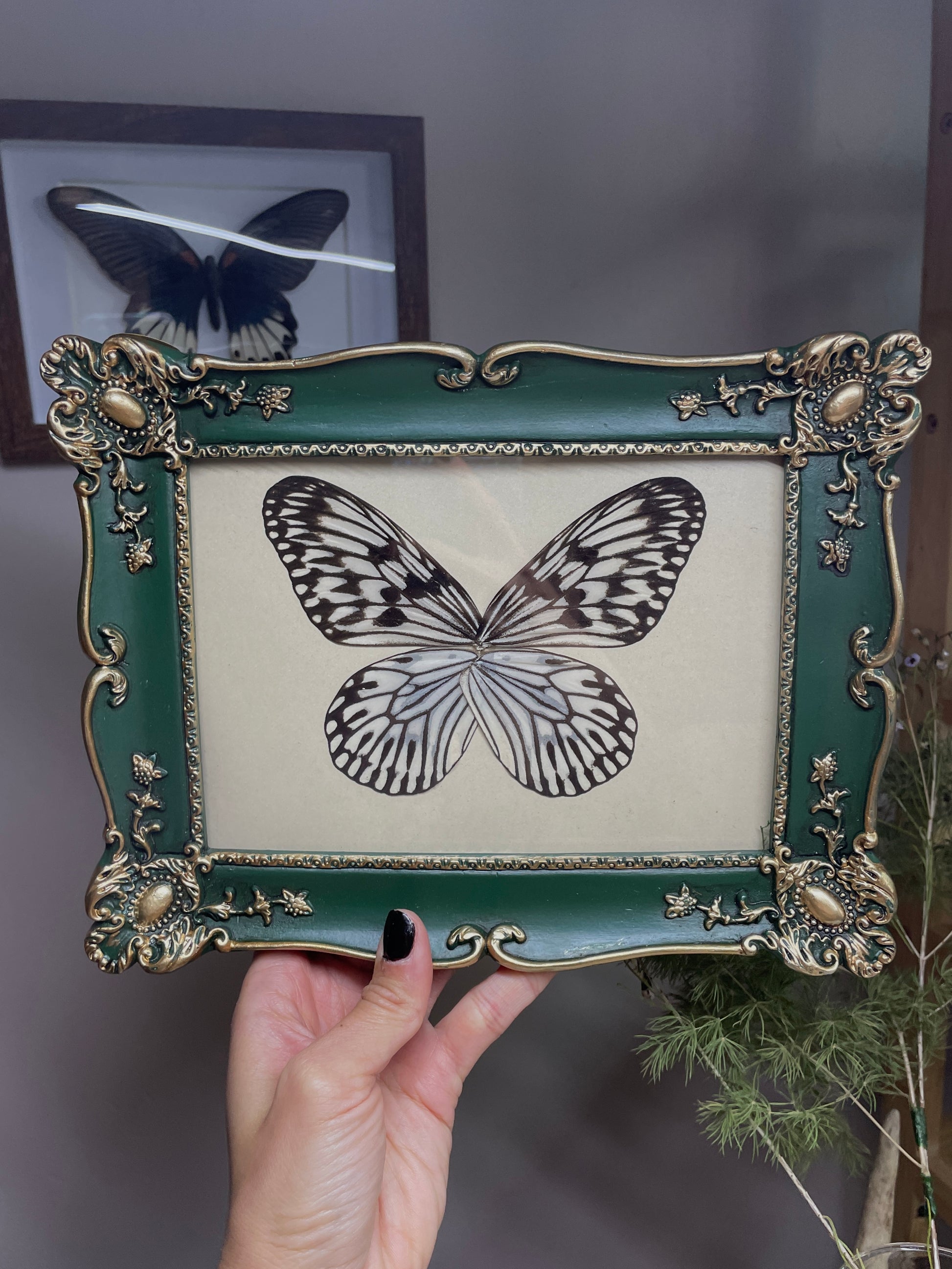paper kite butterfly vintage frame