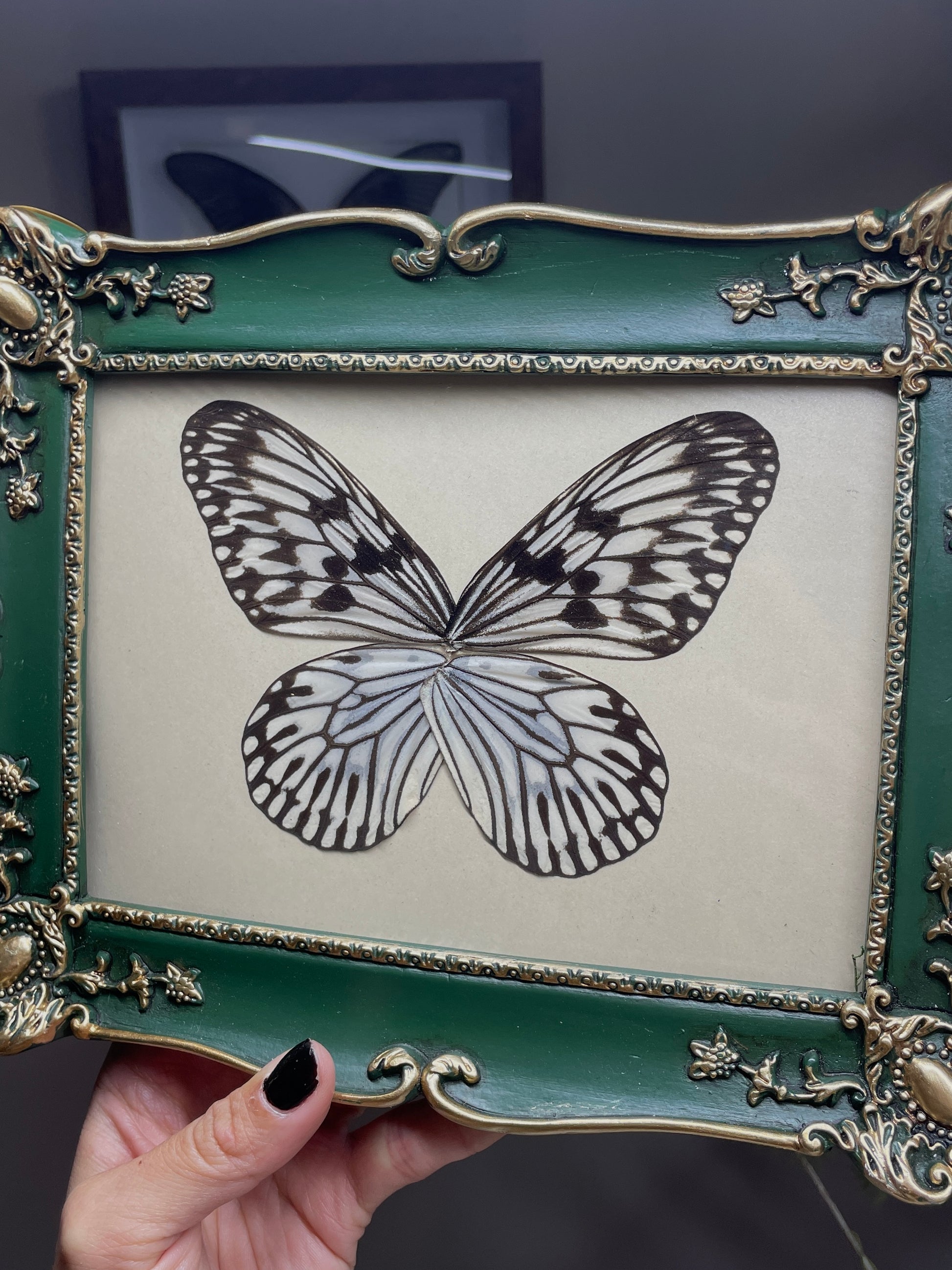 paper kite butterfly vintage frame