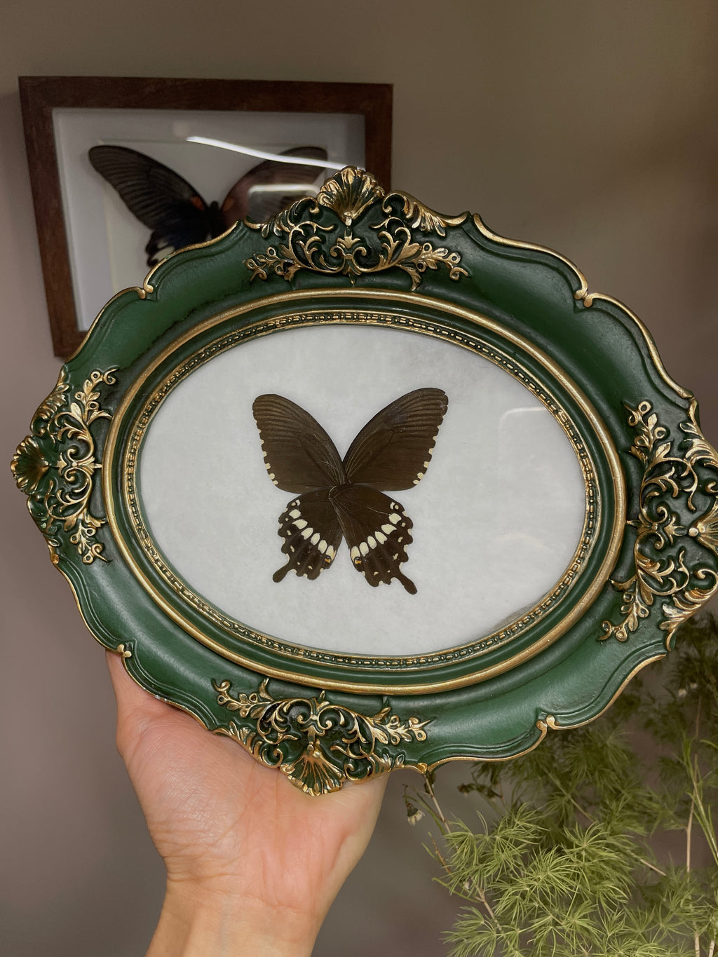 common mormon vintage frame