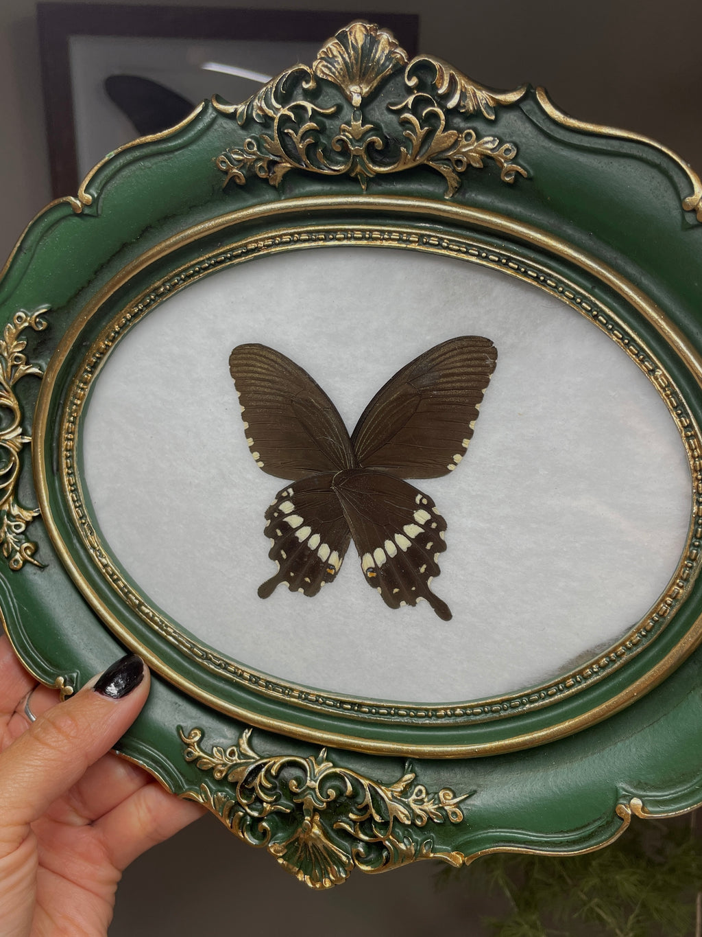 common mormon vintage frame