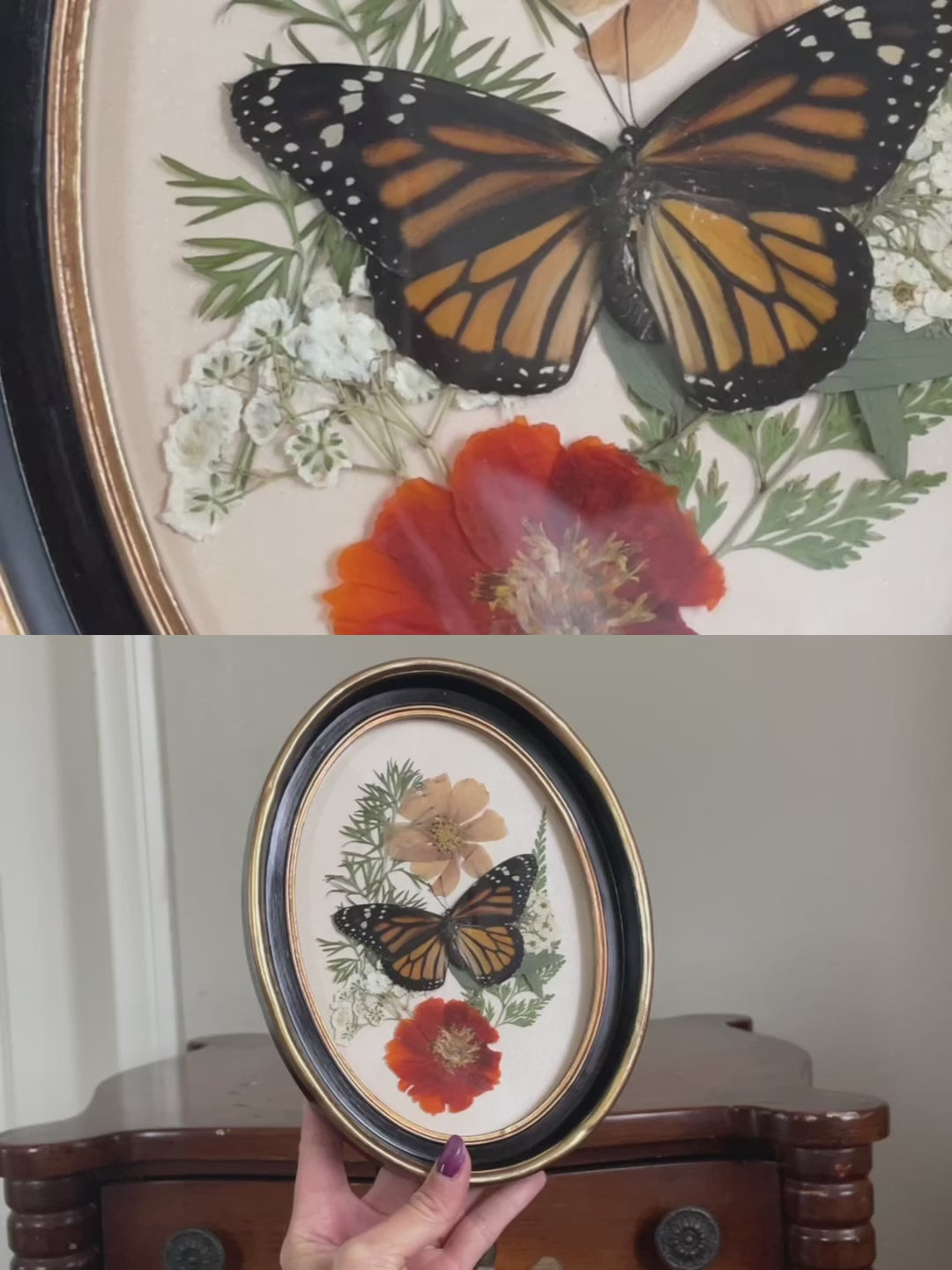 monarch vintage frame