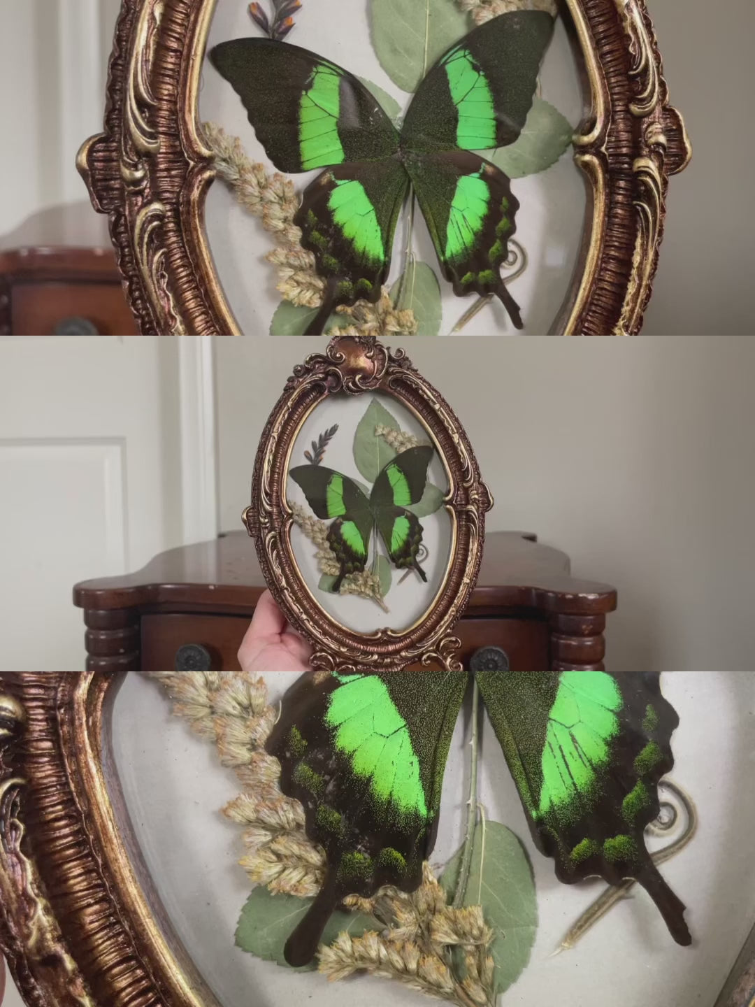 emerald swallowtail vintage frame